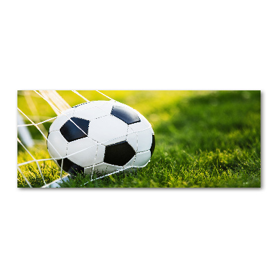 Acrylglas-Druck Der Ball ist im Tor