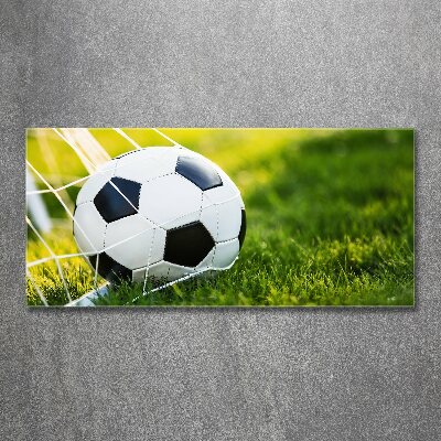 Acrylglas-Druck Der Ball ist im Tor