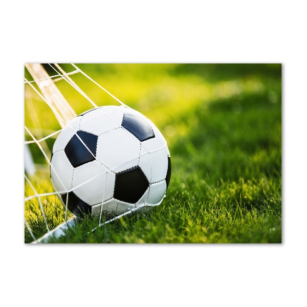 Acrylglas-Druck Der Ball ist im Tor