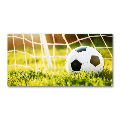 Foto auf Acryl Der Ball ist im Tor