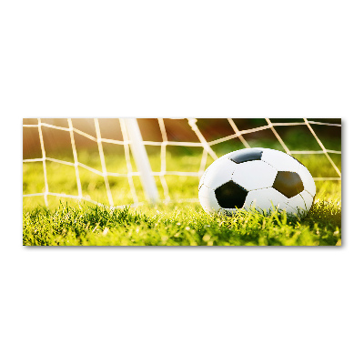 Foto auf Acryl Der Ball ist im Tor