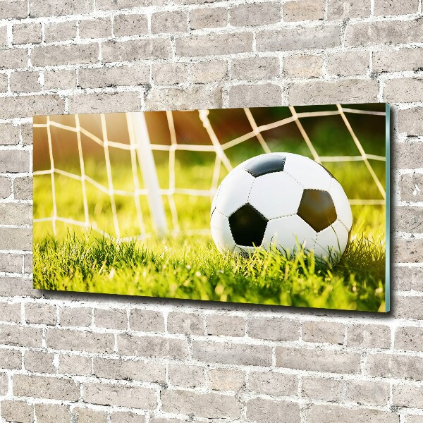 Foto auf Acryl Der Ball ist im Tor