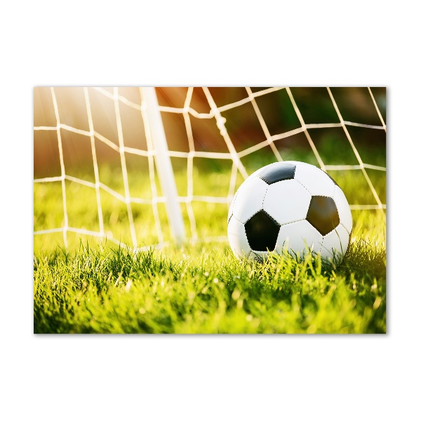 Foto auf Acryl Der Ball ist im Tor