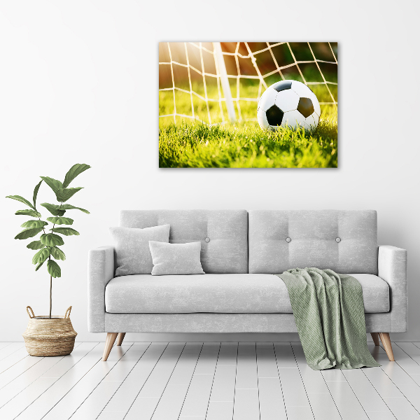 Foto auf Acryl Der Ball ist im Tor