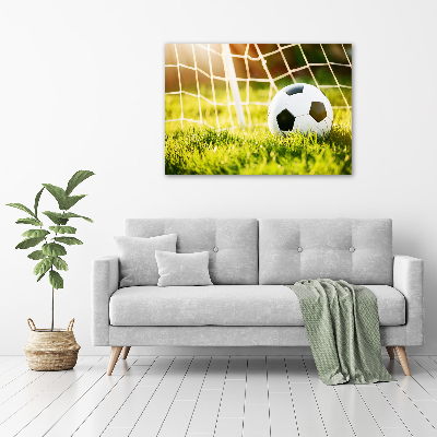 Foto auf Acryl Der Ball ist im Tor
