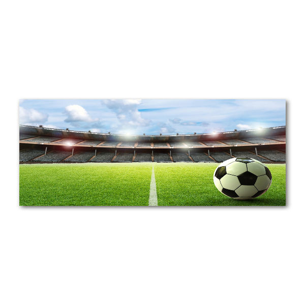 Bild auf Acrylglas Der Ball auf dem Spielfeld