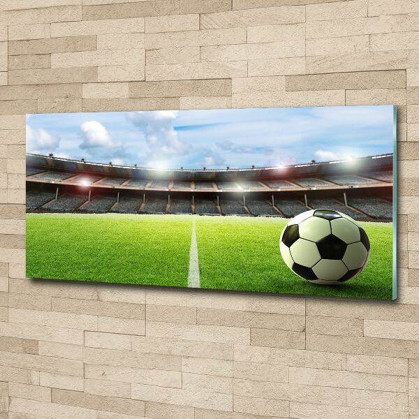 Bild auf Acrylglas Der Ball auf dem Spielfeld