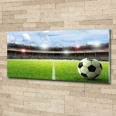 Bild auf Acrylglas Der Ball auf dem Spielfeld