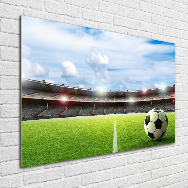 Bild auf Acrylglas Der Ball auf dem Spielfeld