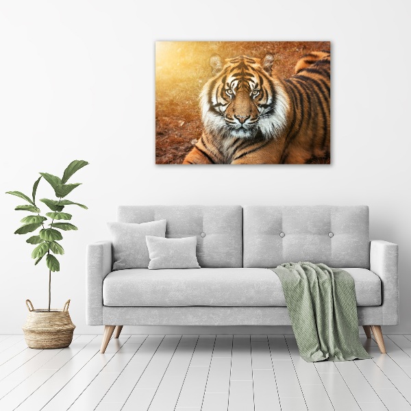 Acrylbild Fotodruck Bengal-Tiger