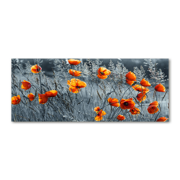 Acrylbild Fotodruck Feldmohn