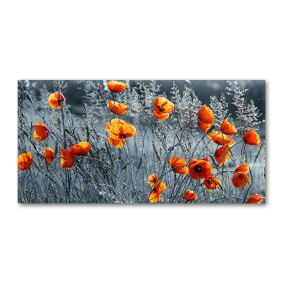 Acrylbild Fotodruck Feldmohn