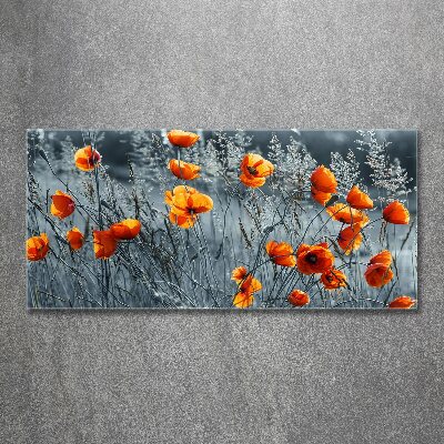 Acrylbild Fotodruck Feldmohn