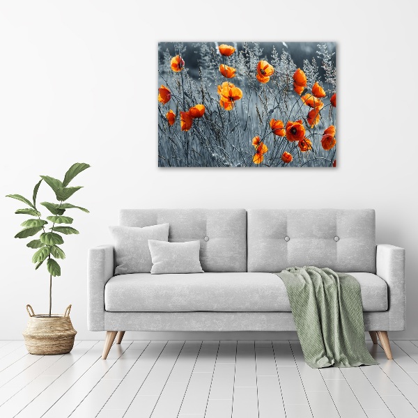 Acrylbild Fotodruck Feldmohn