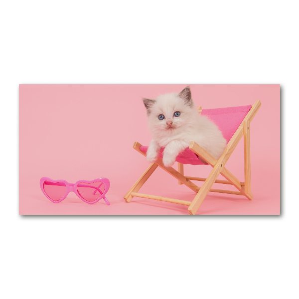 Acrylglas-Druck Katze auf einem Liegestuhl