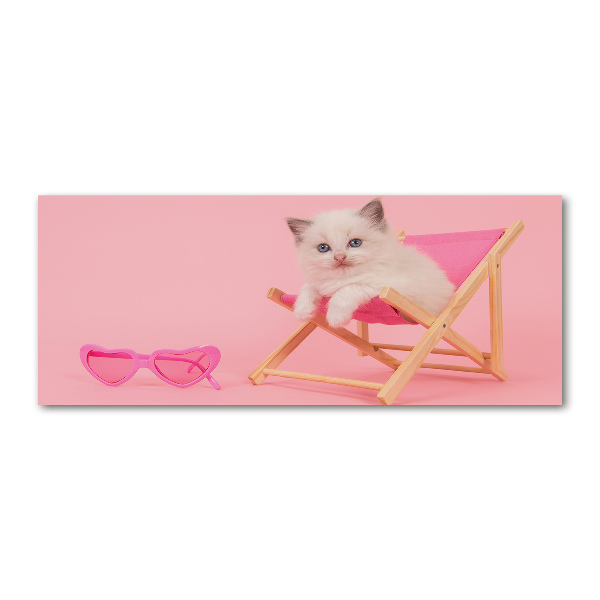 Acrylglas-Druck Katze auf einem Liegestuhl