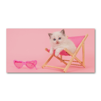 Acrylglas-Druck Katze auf einem Liegestuhl