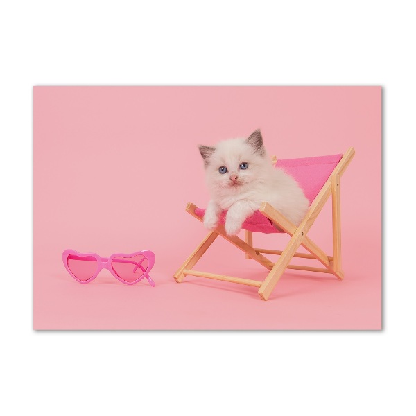 Acrylglas-Druck Katze auf einem Liegestuhl