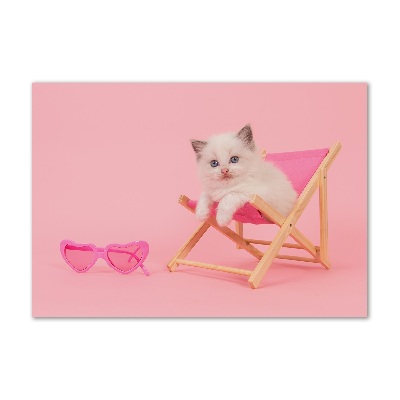 Acrylglas-Druck Katze auf einem Liegestuhl