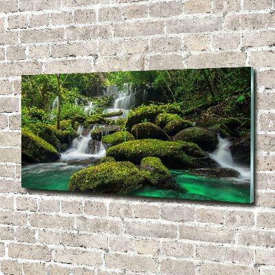 Foto auf Acryl Wasserfall im Wald