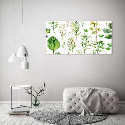 Acrylbild Fotodruck Kräuter und Unkräuter