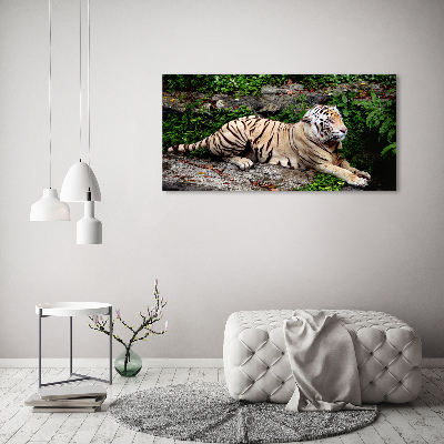 Acrylbild Fotodruck Tiger auf einem Felsen