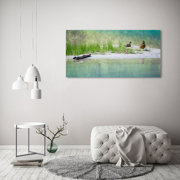 Foto auf Acryl Enten am Wasser