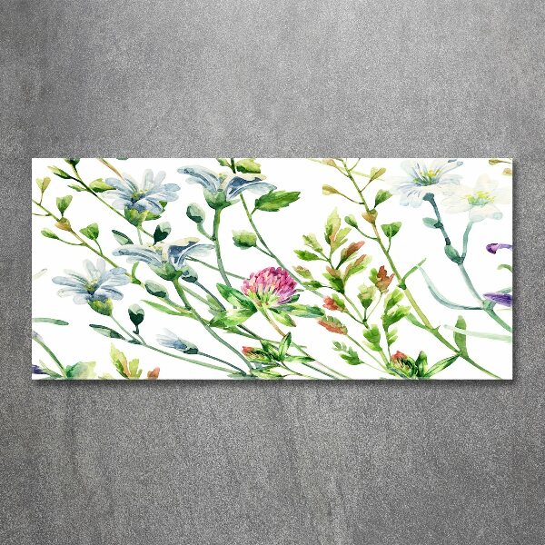 Acrylglas-Druck Wildblumen