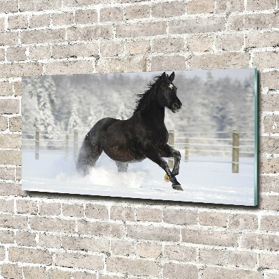 Bild auf Acrylglas Ein Pferd galoppiert im Schnee