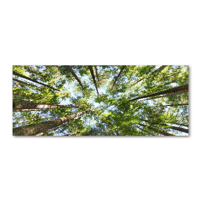 Acrylglas-Druck Baumkrone