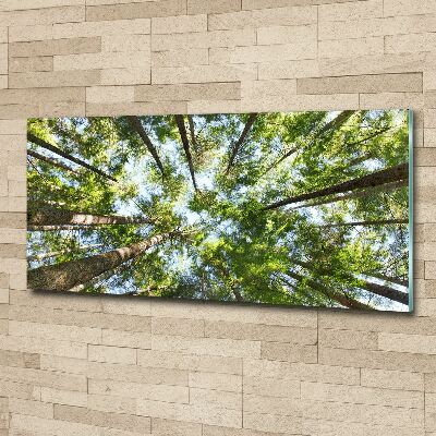 Acrylglas-Druck Baumkrone