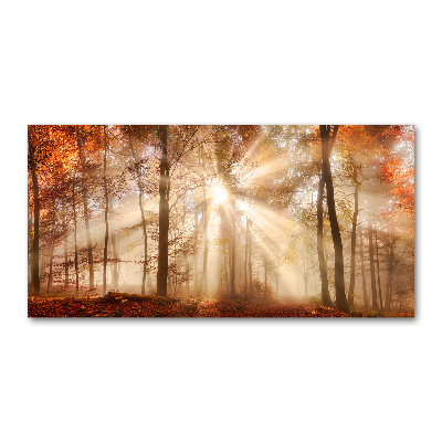 Acrylbild Fotodruck Nebel im Herbstwald