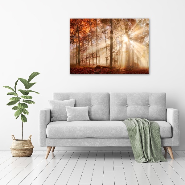 Acrylbild Fotodruck Nebel im Herbstwald