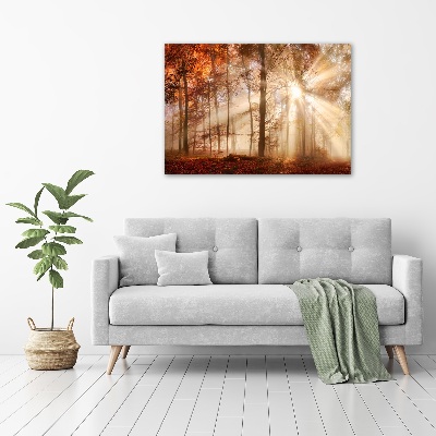 Acrylbild Fotodruck Nebel im Herbstwald