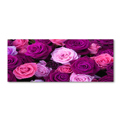 Acrylbild Fotodruck Rosen