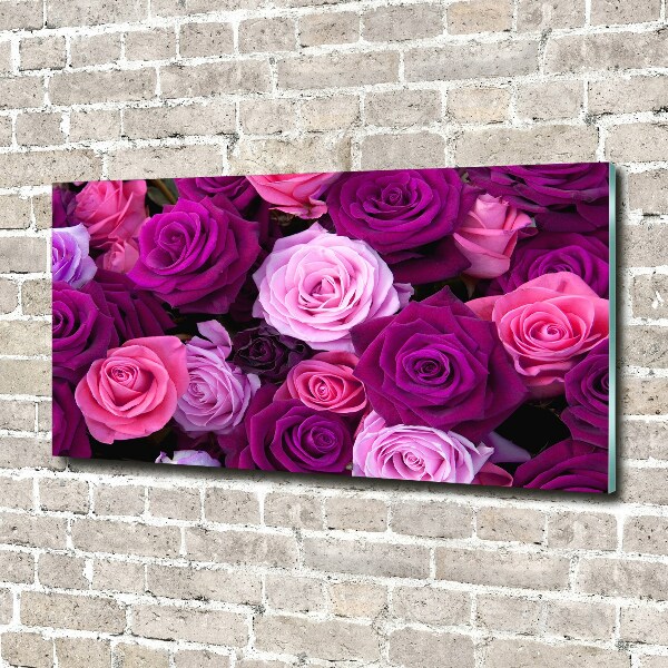 Acrylbild Fotodruck Rosen