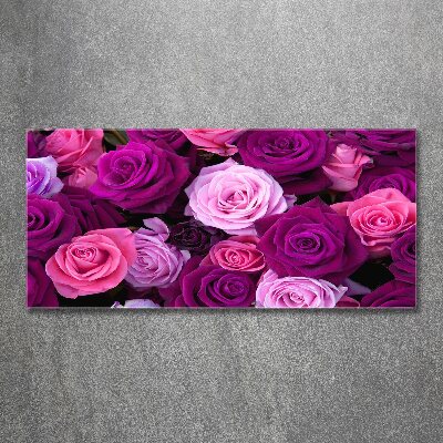 Acrylbild Fotodruck Rosen
