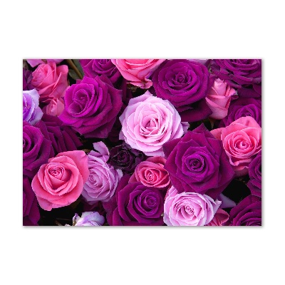 Acrylbild Fotodruck Rosen