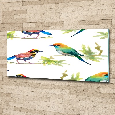 Acrylglas-Druck Exotische Vögel