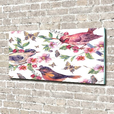 Acrylbild Fotodruck Vögel, Schmetterlinge, Kirschen