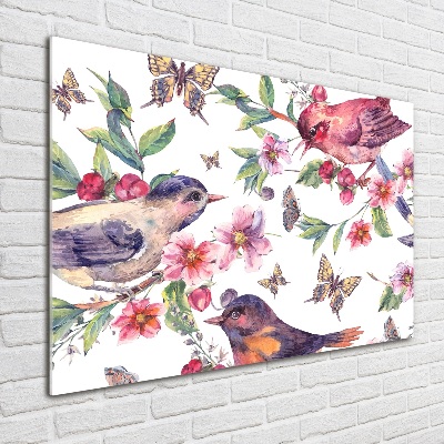 Acrylbild Fotodruck Vögel, Schmetterlinge, Kirschen