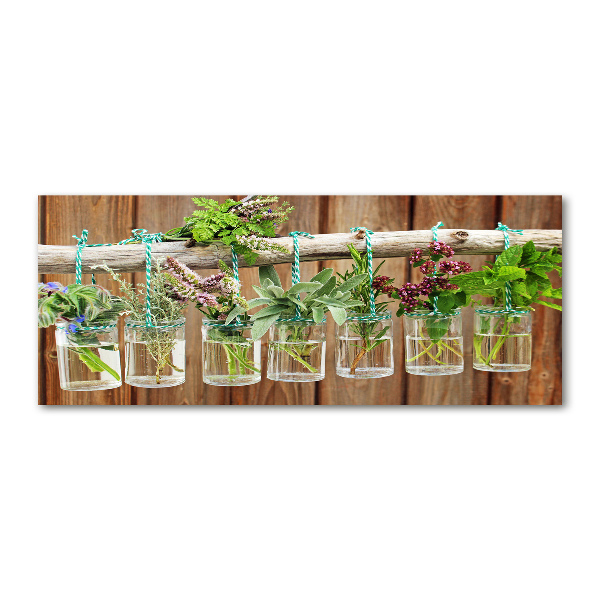 Foto auf Acryl Kräuter im Glas