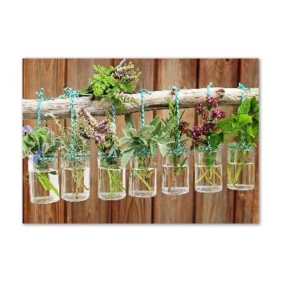 Foto auf Acryl Kräuter im Glas