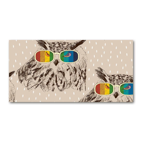 Acrylglas-Druck Eulen mit Brille