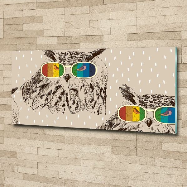 Acrylglas-Druck Eulen mit Brille