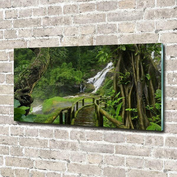 Acrylbild Fotodruck Wasserfall im Dschungel