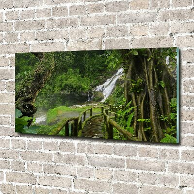 Acrylbild Fotodruck Wasserfall im Dschungel
