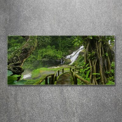 Acrylbild Fotodruck Wasserfall im Dschungel