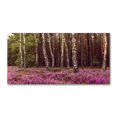 Acrylglas-Druck Moor