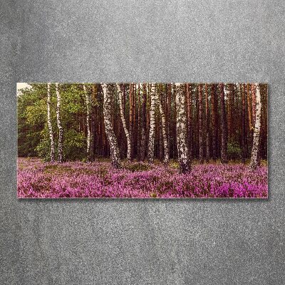 Acrylglas-Druck Moor